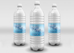 Beverage Big Bottle Mock-Up