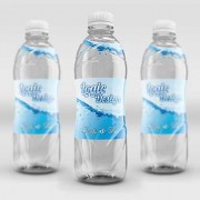 Fancy Beverage Bottle Mock-Up