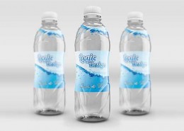 Fancy Beverage Bottle Mock-Up