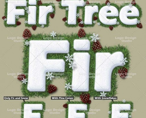 Fir and Snow
