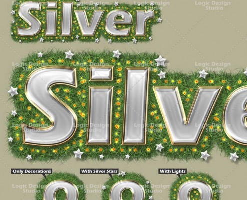 Silver Decorations