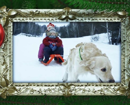 Christmas Memories Screenshot