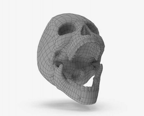 Human Skull wireframe