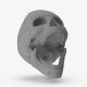 Human Skull wireframe