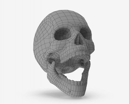 Human Skull wireframe