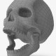 Human Skull wireframe details