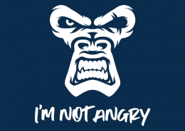 I'm Not Angry, The Monkey