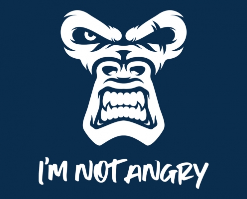 I'm Not Angry, The Monkey